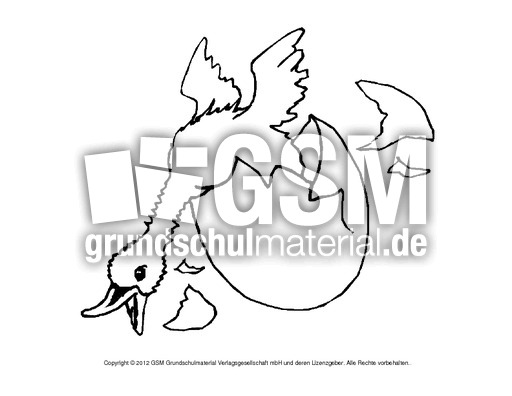 Ausmalbilder-Stockente 9.pdf